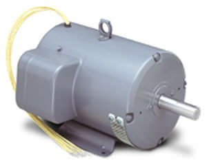 Moteur asynchrone - LEESON Electric - AC / triphasé / 220 V