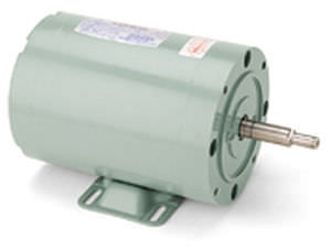 Moteur AC - LEESON Electric - monophasé / pour pompe