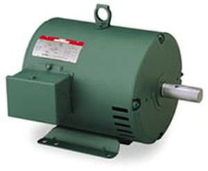 Moteur asynchrone - Wattsaver® - LEESON Electric - AC / triphasé / 3-phases