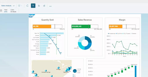 Logiciel de gestion de performance - BusinessObjects Business Intelligence - SAP - de gestion financière / d'analyse / de visualisation