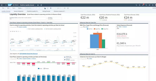 Logiciel de gestion financière - S/4HANA Cloud for cash management - SAP - de supervision / de commande / de reporting