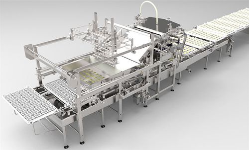 Portionneuse de fromage à pâte dure - AFE - Alpma Alpenland Maschinenbau - à pâte molle / mécanique / semi-automatique