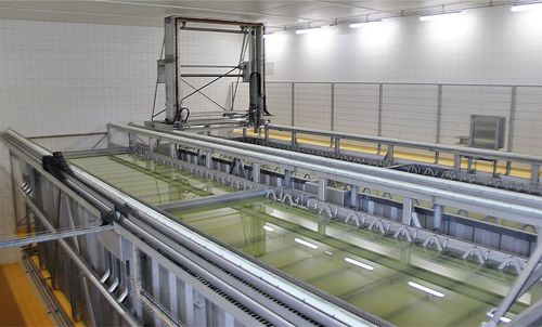 Machine de salage de fromage - Alpma Alpenland Maschinenbau