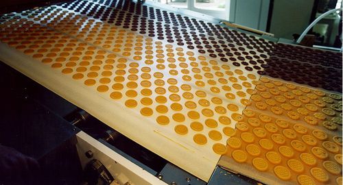 Convoyeur à bande - Baker Perkins Ltd. - pour aliments / pour l'industrie agroalimentaire