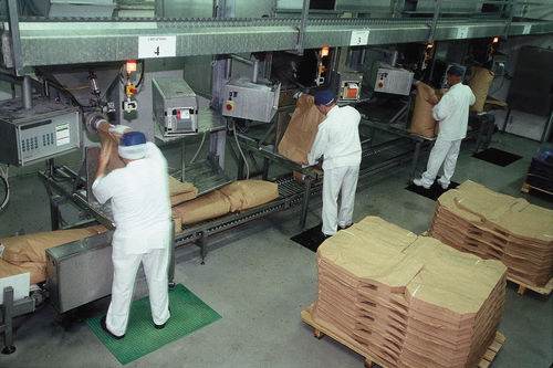 Peseuse pour volaille - Cabinplant A/S - de pâtes / pour viande / pour poisson