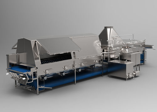 Machine à blanchir à vapeur - Cabinplant A/S - pour fruits et légumes / pour l'industrie agroalimentaire / horizontale