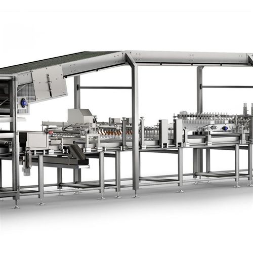 Ligne de production de gâteaux automatisée - Gorreri S.r.l.