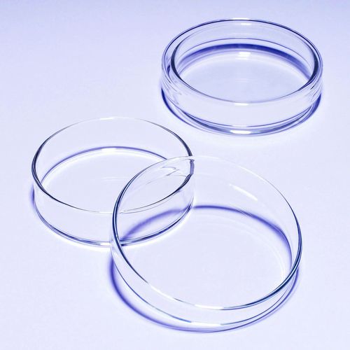 Boîte de Petri en verre - 1480 series - SciLabware Limited