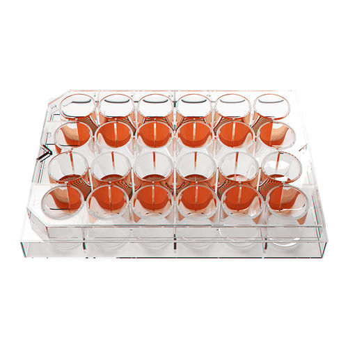 Microplaque à 12 puits - SP5D - Heidolph Instruments GmbH & Co. KG - pour culture cellulaire