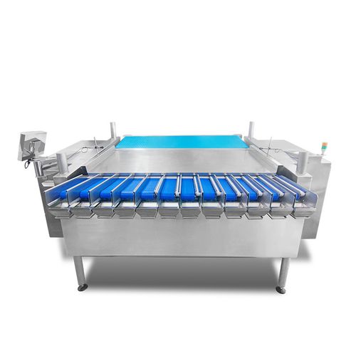 Peseuse linéaire - TY-ZX122M100-01-11 - Zhongshan TO-U Packaging Machinery Co.,Ltd - en continu / de légumes / automatique