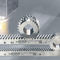 crémaillère à denture droite50179004ATLANTA