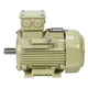 moteur asynchrone / AC / en fonte / IP55