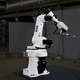 robot articulé / 6 axes / de transfert / de manutention