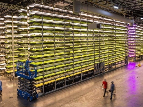 AeroFarms est le leader commercial de l'agriculture verticale en intérieur entièrement contrôlée, avec une productivité annuelle par pied carré 390 fois supérieure à celle de l'agriculture traditio...