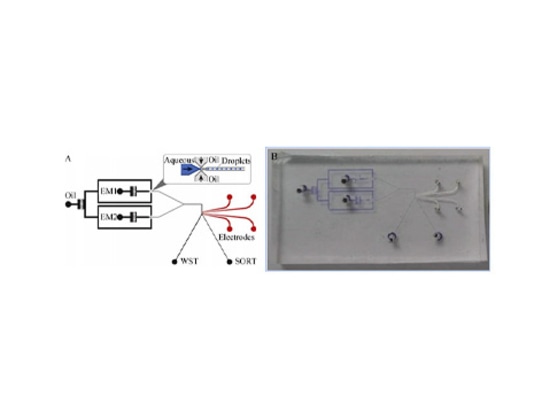 Application de l'amplificateur de puissance dans les tests de puces microfluidiques