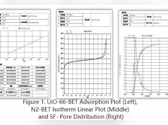 Application de la technologie d'adsorption des gaz à la caractérisation des adsorbants poreux