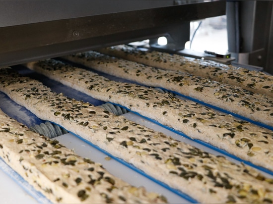 Feuille de pâte avec graines de citrouille - Artisan SFE EC