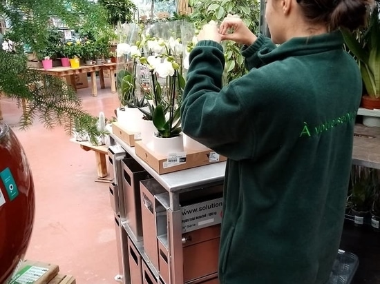 Mise en place des plantes avec le chariot Jasmin