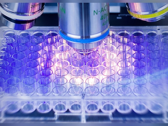 Un laboratoire de recherche universitaire de premier plan utilise les profileurs optiques Zygo™ pour obtenir des informations plus rapides et plus détaillées sur les biofilms