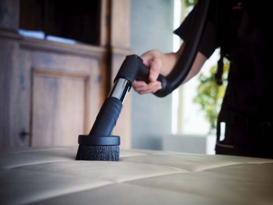 CA BACK - brosse