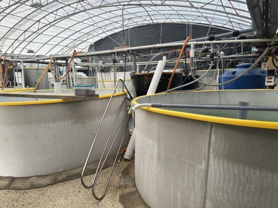 Cas d'application de l'aquaculture en Corée
