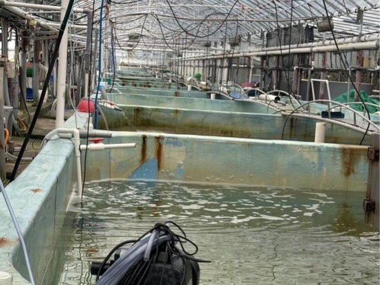 Cas d'application de l'aquaculture en Corée