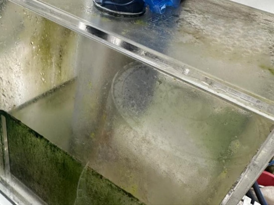 Cas d'application de l'aquaculture en Corée