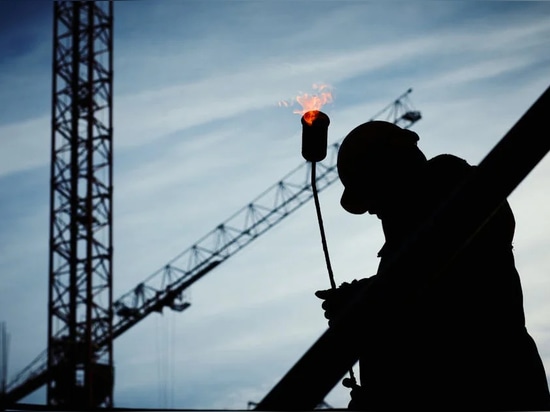 Manipulateur de grue