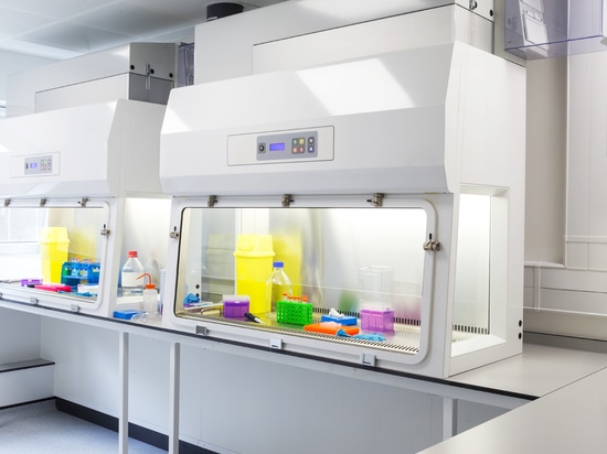 Hottes à flux d'air laminaire (LAF)