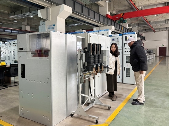 Troisième visite d'un client zambien à Tianan Electric