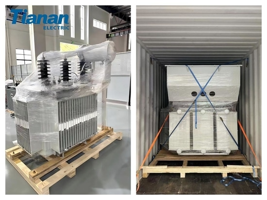 L'ingénierie de précision au service de la coopération énergétique sino-africaine – Ningbo Tianan expédie une nouvelle série de transformateurs de distribution sur mesure vers la Zambie
