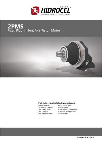 2PMS Bent Axis Motors