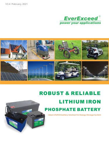 LDP series Lithium battery