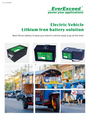 Lithium Iron battery solution  LEV series