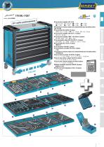 special worldwide 2015 - Industrie et Automotive - 7