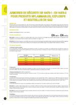 ARMOIRES DE SECURITE EN 14470-1 & EN 14470-2 POUR PRODUITS INFLAMMABLES, EXPLOSIFS ET BOUTEILLES DE GAZ - 2