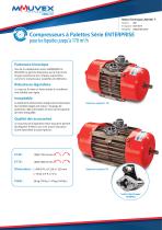 Compresseurs à Palettes Série ENTERPRISE