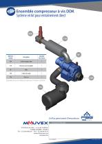 Ensemble compresseur à vis DDK - 2