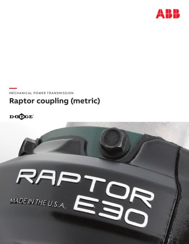 Raptor coupling (metric)