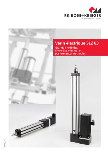V&eacute;rin &eacute;lectrique SLZ 63