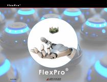 FlexPro Catalog