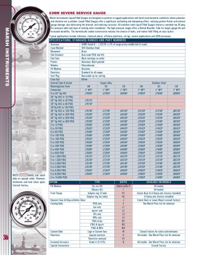 Marsh Bellofram BelGAS Division Gauges Brochure