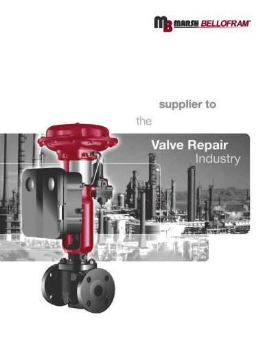 Marsh Bellofram Valve Repair Brochure