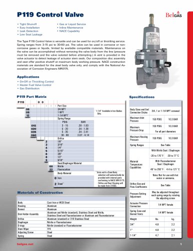 P119 Control Valve