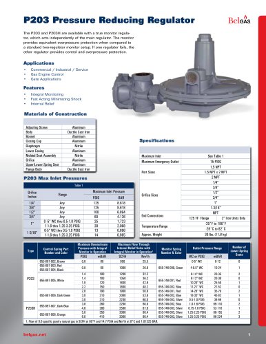 P203 Pressure Reducing Regulator