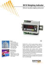 Baykon BX18 Weighing Indicator