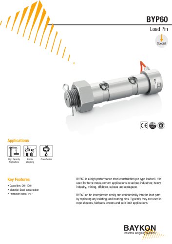 BYP60 Special Load Cell