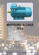 Moteurs à cage IP55 - 1