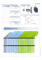 P TYPE - GEAR MOTOR - 2