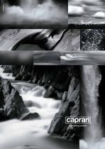 Caprari pompe produit